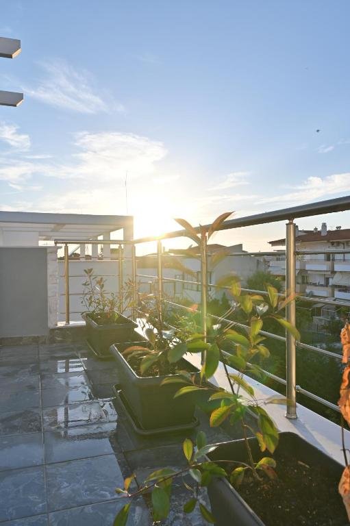 Sunset on the Roof — White Coral